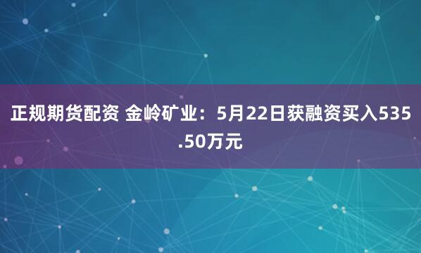 正规期货配资 金岭矿业：5月22日获融资买入535.50万元